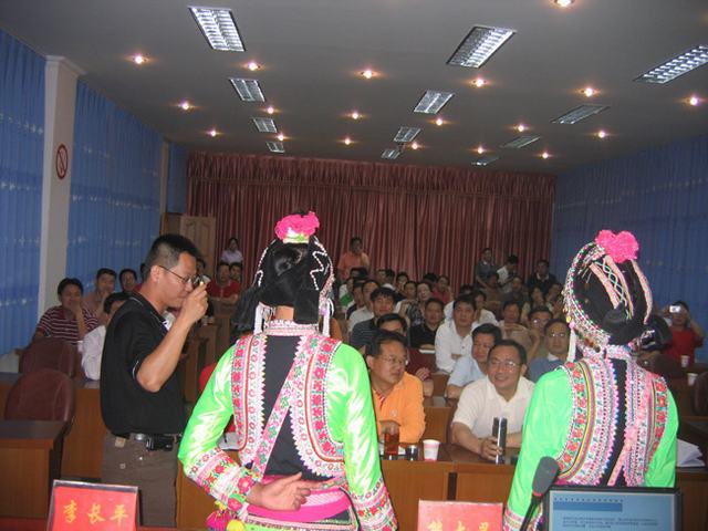 姚安提案